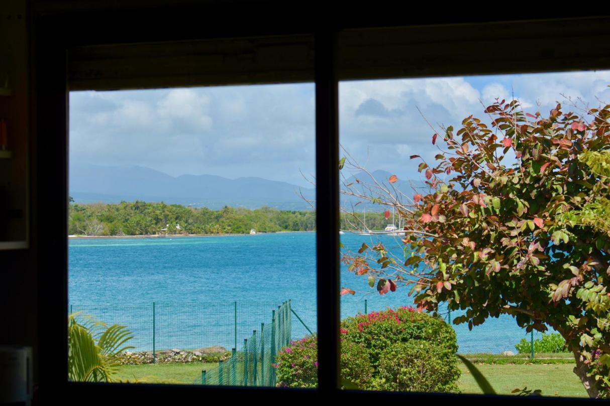 Résidence Village Viva Bas du Fort Le Gosier  Extérieur photo